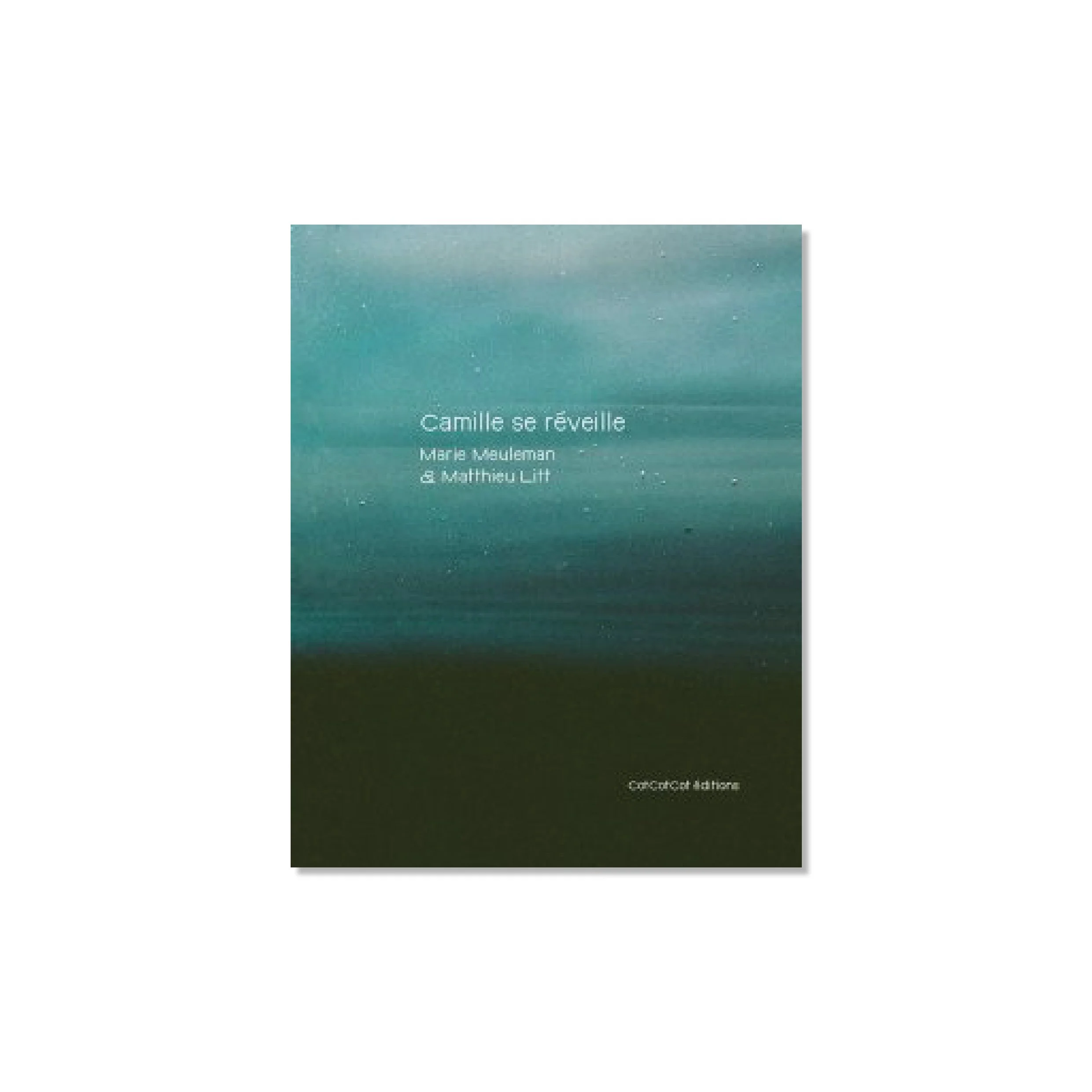 Thomas Lélu & Marine Neuilly / Let's Take Pics We Can Never Post